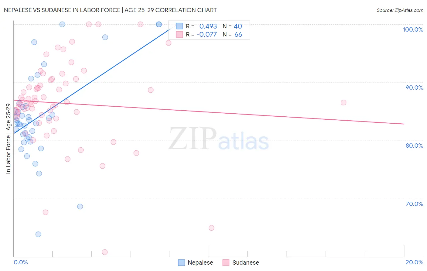 Nepalese vs Sudanese In Labor Force | Age 25-29