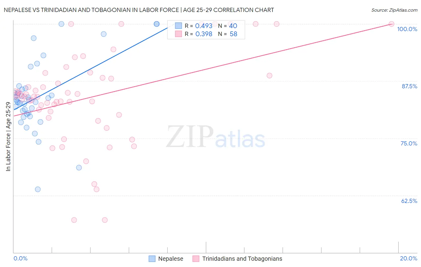 Nepalese vs Trinidadian and Tobagonian In Labor Force | Age 25-29