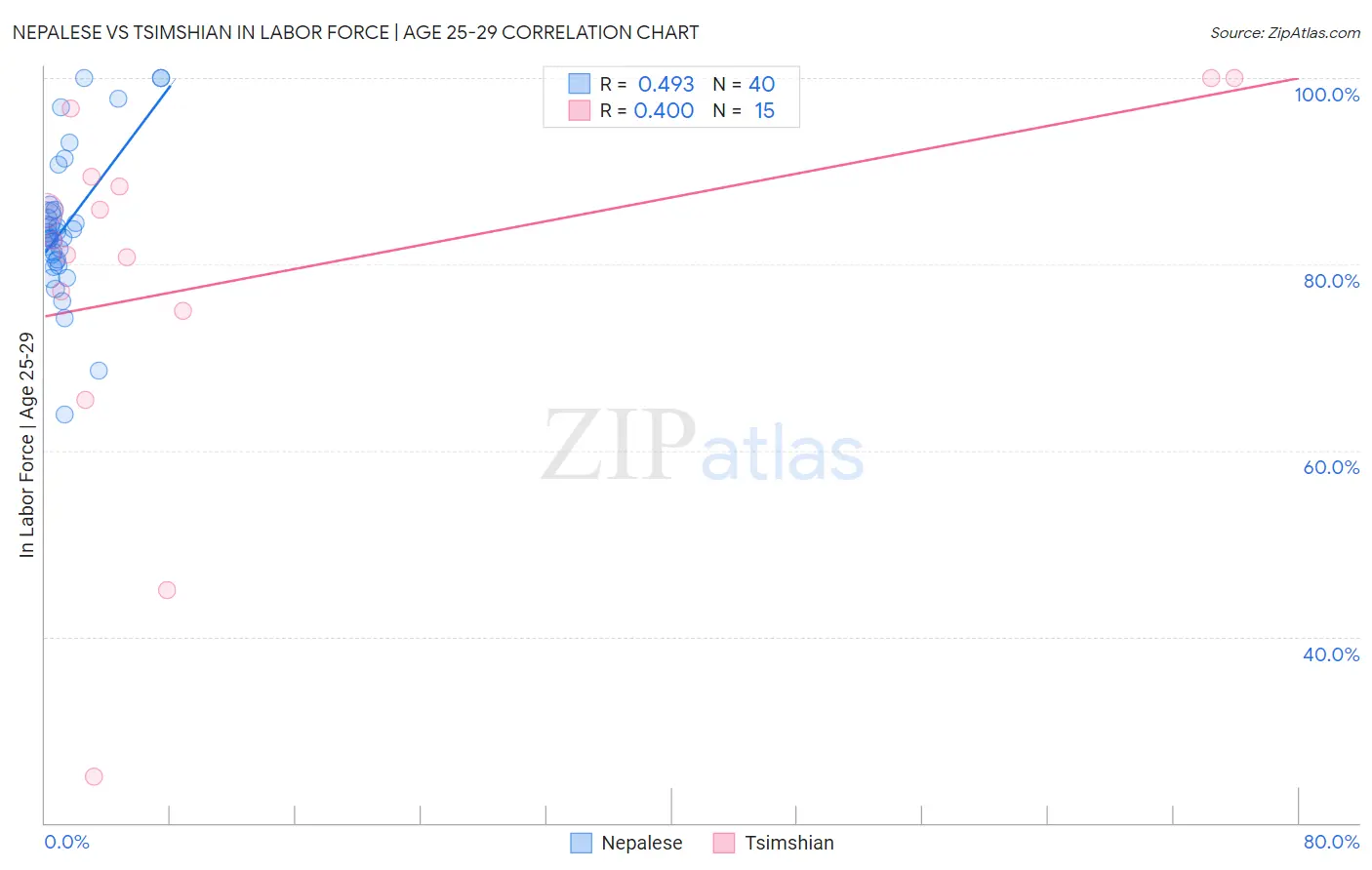 Nepalese vs Tsimshian In Labor Force | Age 25-29