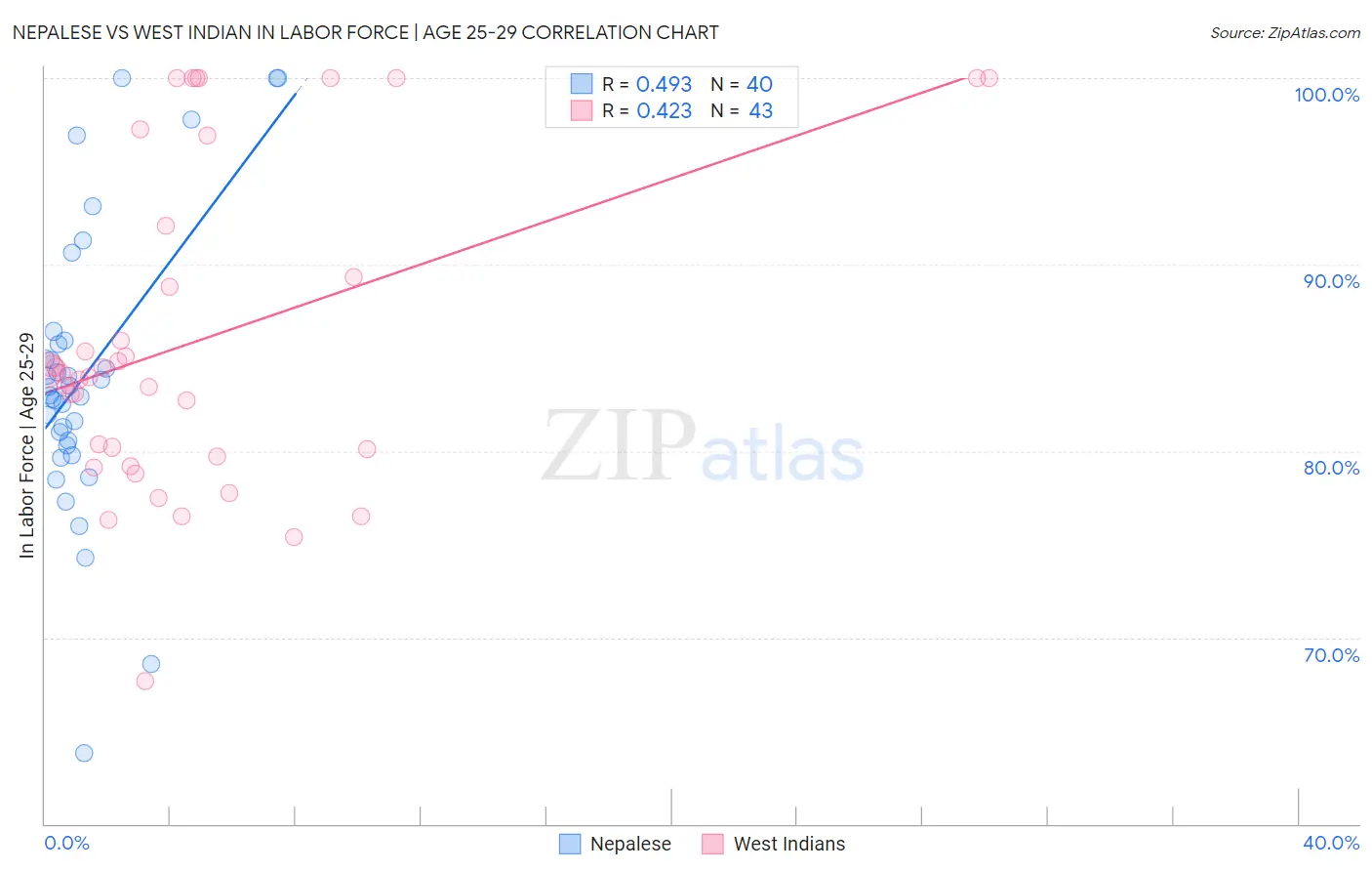 Nepalese vs West Indian In Labor Force | Age 25-29