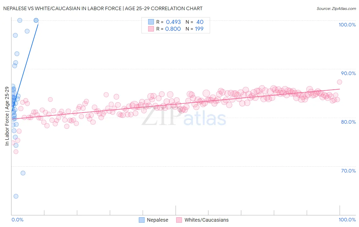 Nepalese vs White/Caucasian In Labor Force | Age 25-29