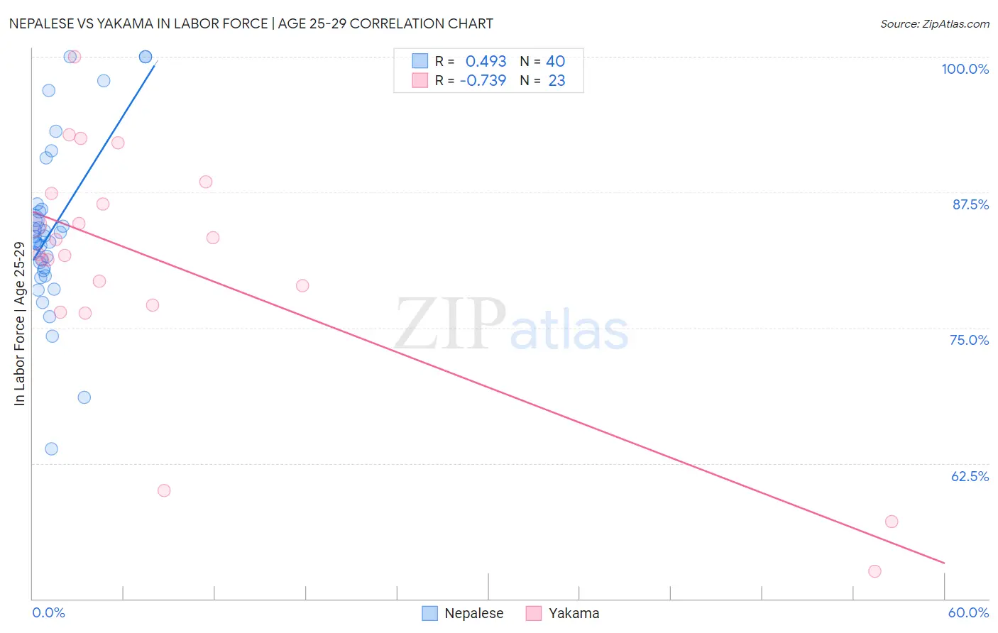 Nepalese vs Yakama In Labor Force | Age 25-29