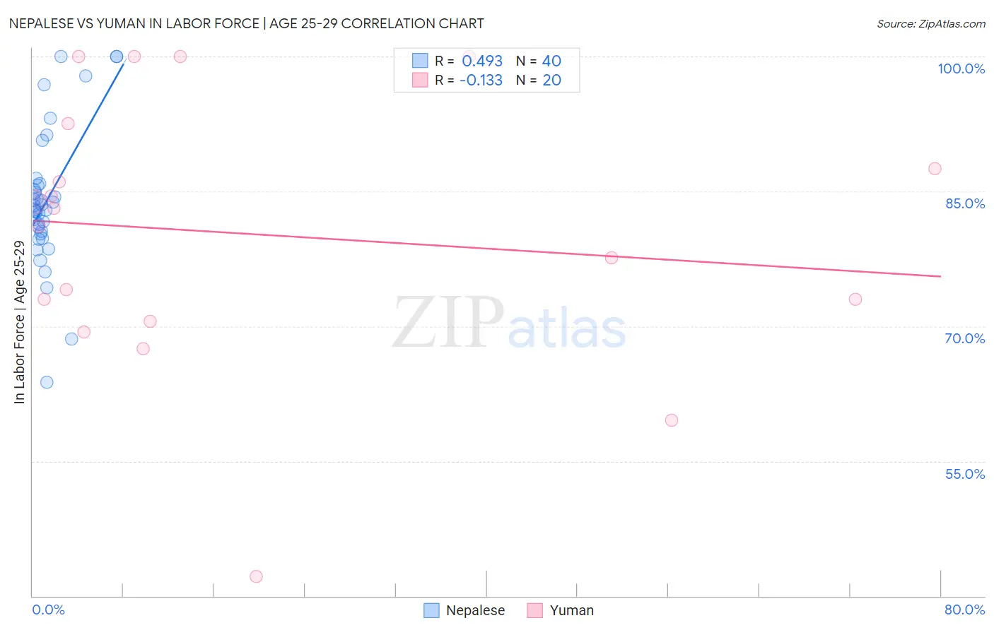 Nepalese vs Yuman In Labor Force | Age 25-29