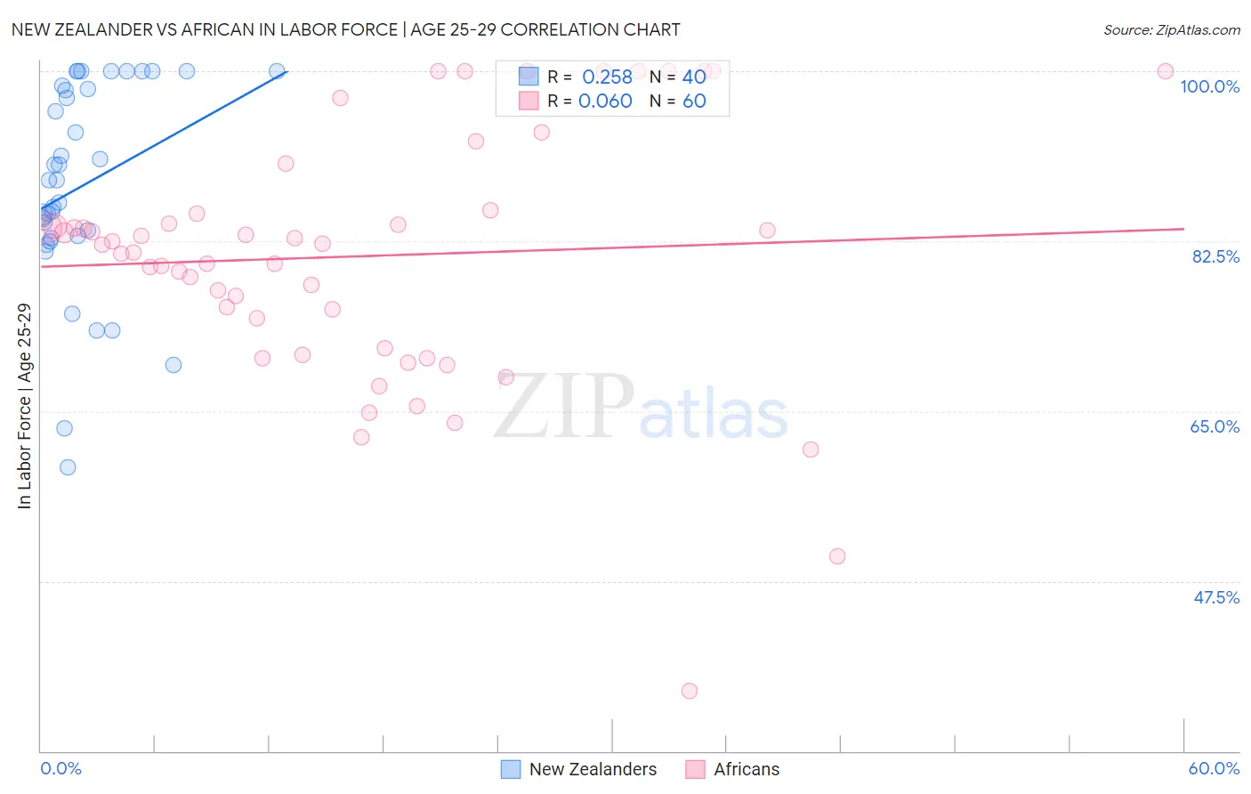 New Zealander vs African In Labor Force | Age 25-29