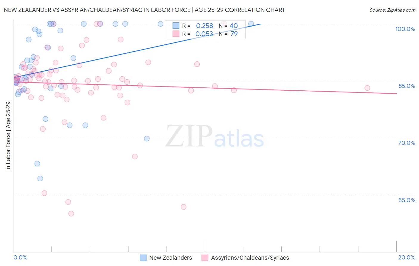 New Zealander vs Assyrian/Chaldean/Syriac In Labor Force | Age 25-29