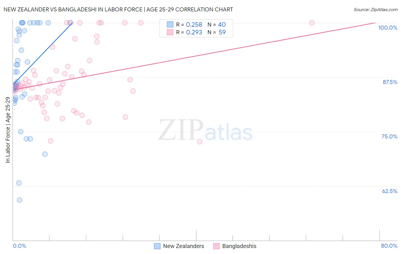 New Zealander vs Bangladeshi In Labor Force | Age 25-29