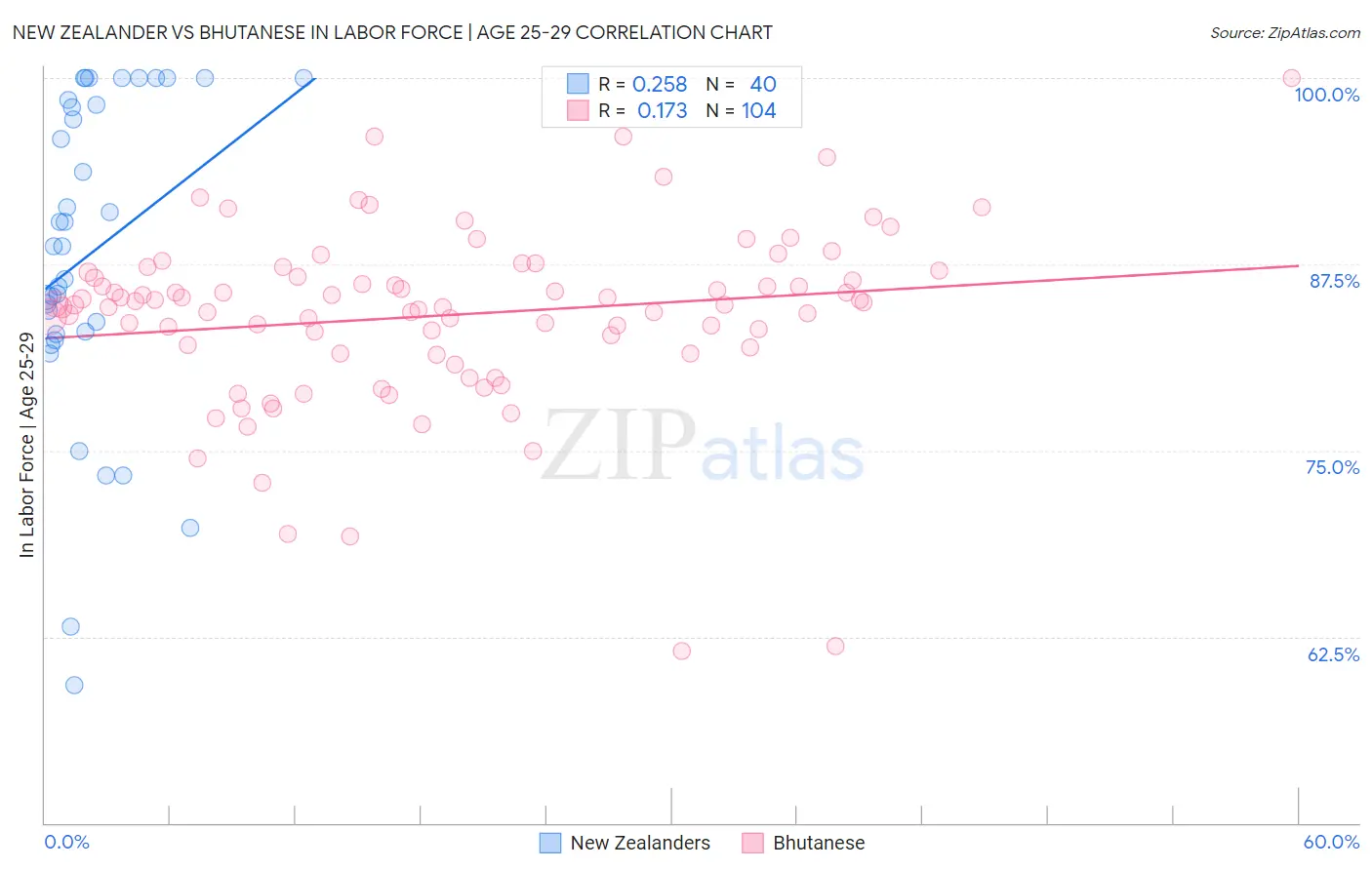 New Zealander vs Bhutanese In Labor Force | Age 25-29