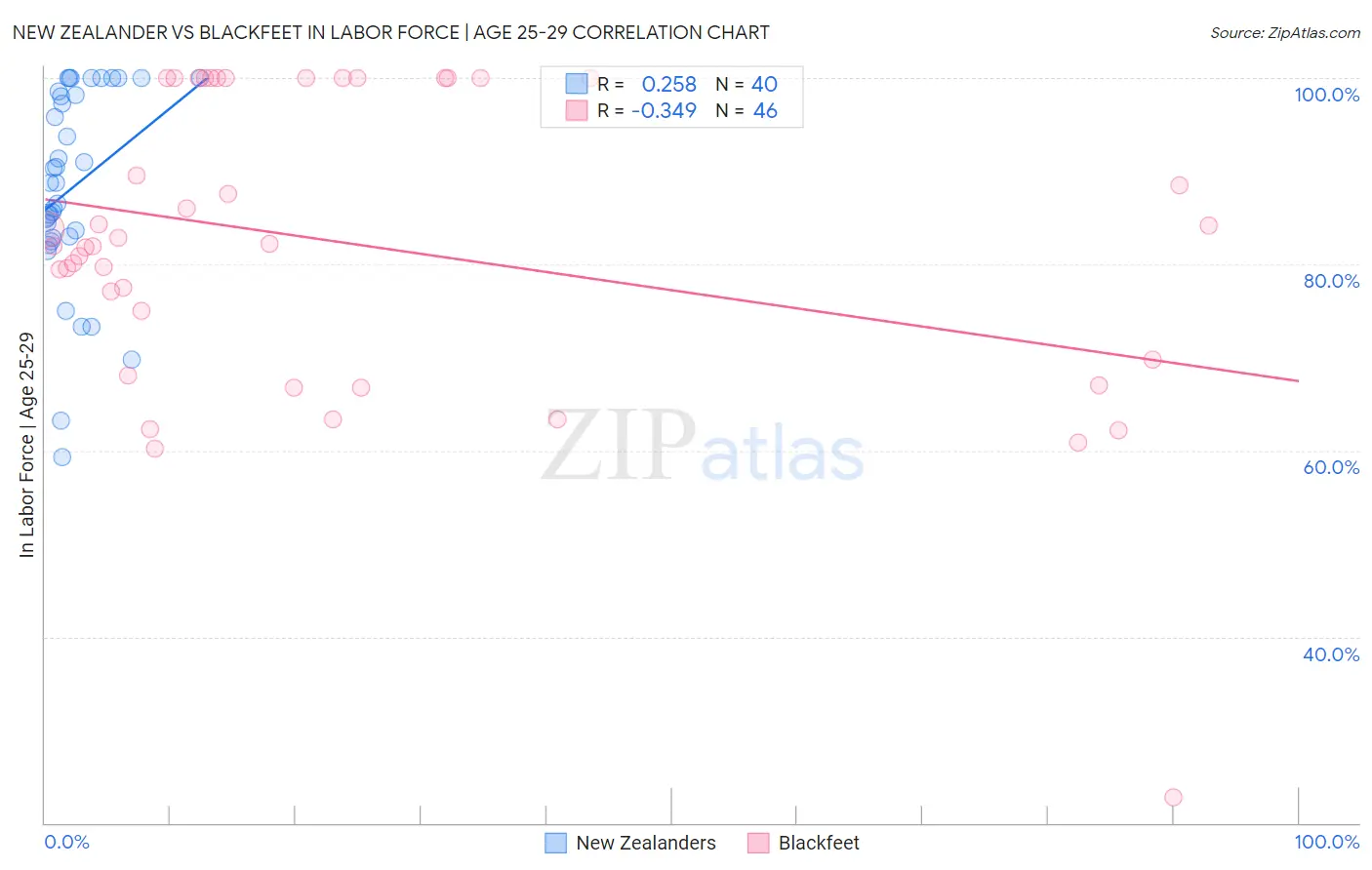 New Zealander vs Blackfeet In Labor Force | Age 25-29