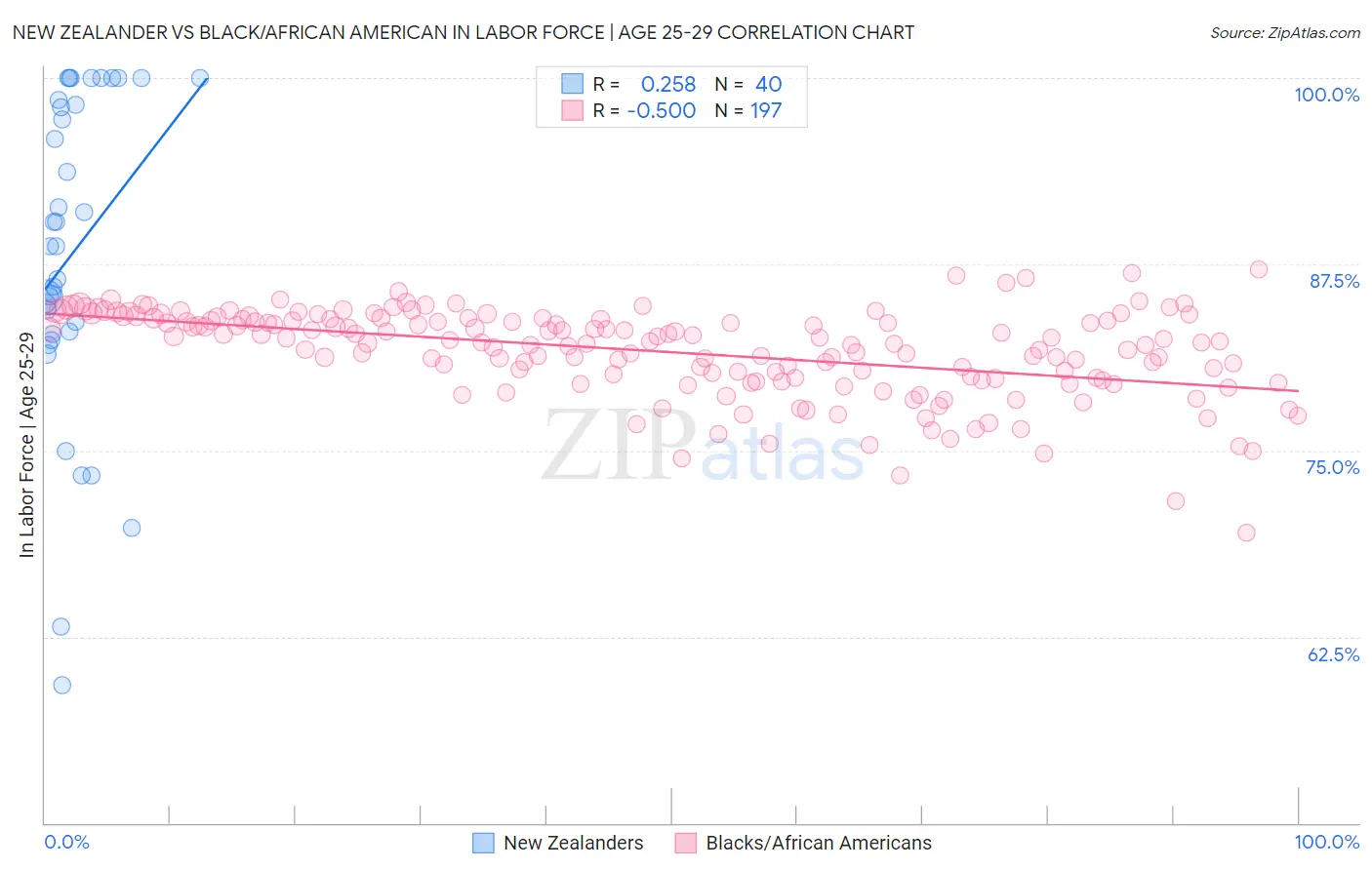 New Zealander vs Black/African American In Labor Force | Age 25-29