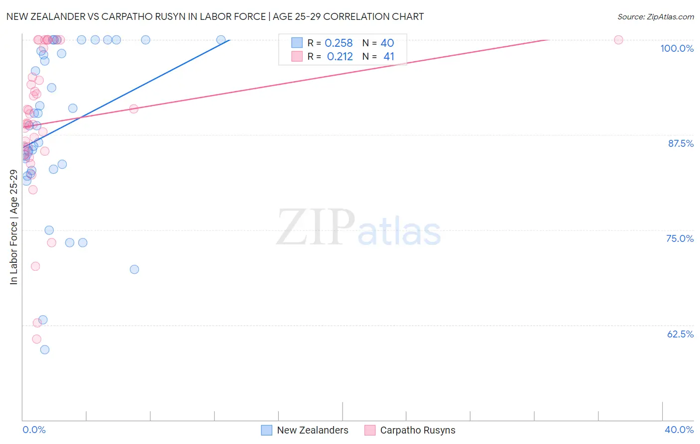 New Zealander vs Carpatho Rusyn In Labor Force | Age 25-29