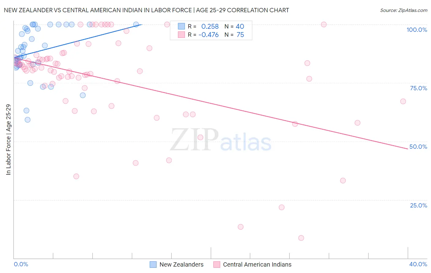 New Zealander vs Central American Indian In Labor Force | Age 25-29