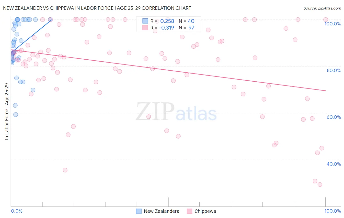 New Zealander vs Chippewa In Labor Force | Age 25-29