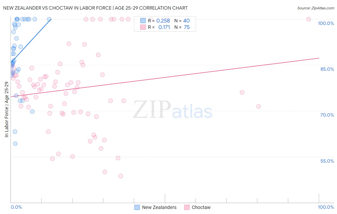 New Zealander vs Choctaw In Labor Force | Age 25-29