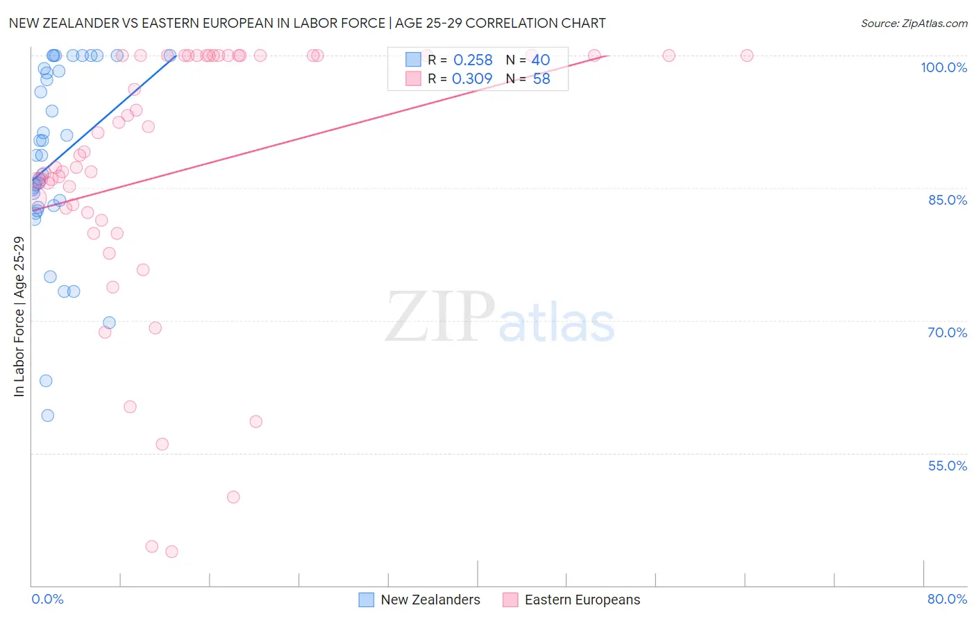 New Zealander vs Eastern European In Labor Force | Age 25-29