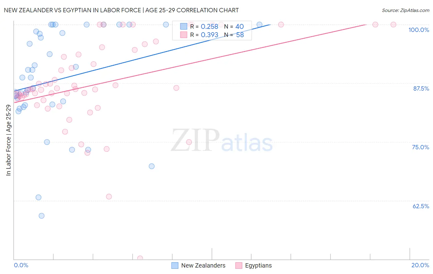 New Zealander vs Egyptian In Labor Force | Age 25-29