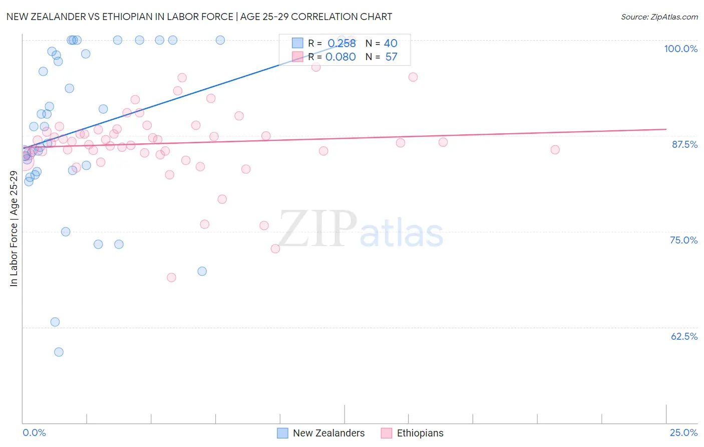 New Zealander vs Ethiopian In Labor Force | Age 25-29