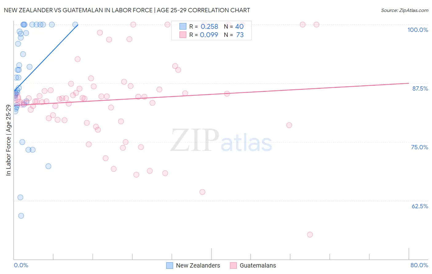 New Zealander vs Guatemalan In Labor Force | Age 25-29