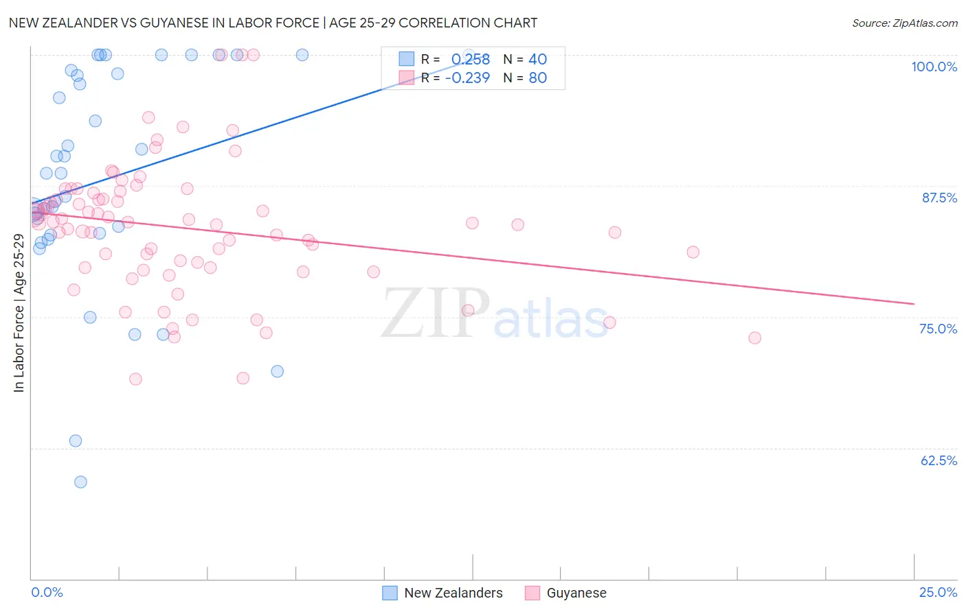 New Zealander vs Guyanese In Labor Force | Age 25-29