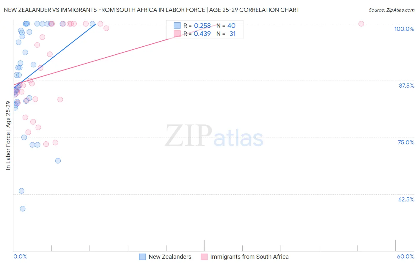 New Zealander vs Immigrants from South Africa In Labor Force | Age 25-29