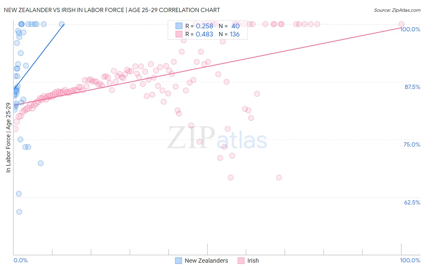 New Zealander vs Irish In Labor Force | Age 25-29