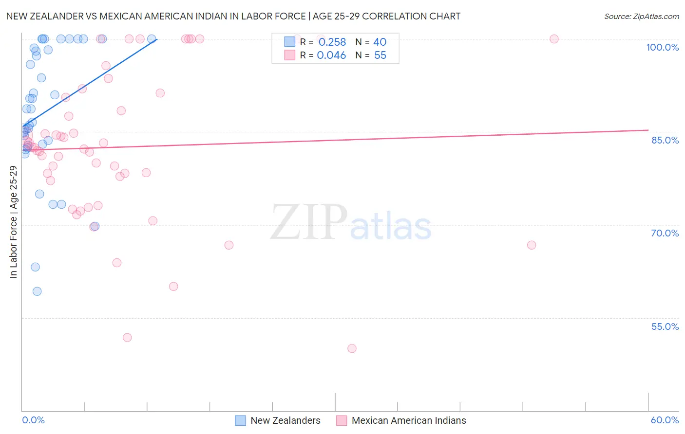 New Zealander vs Mexican American Indian In Labor Force | Age 25-29