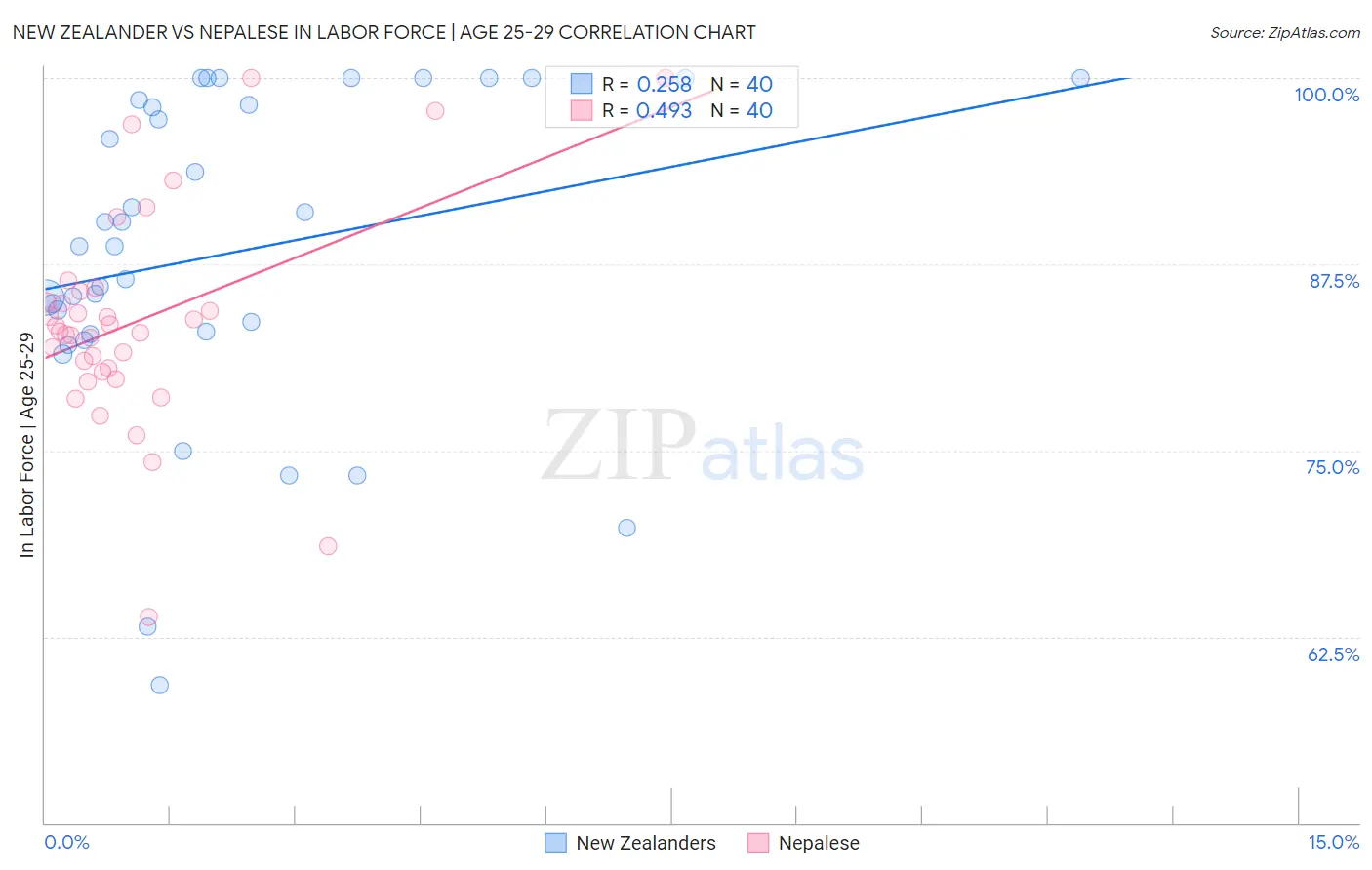 New Zealander vs Nepalese In Labor Force | Age 25-29