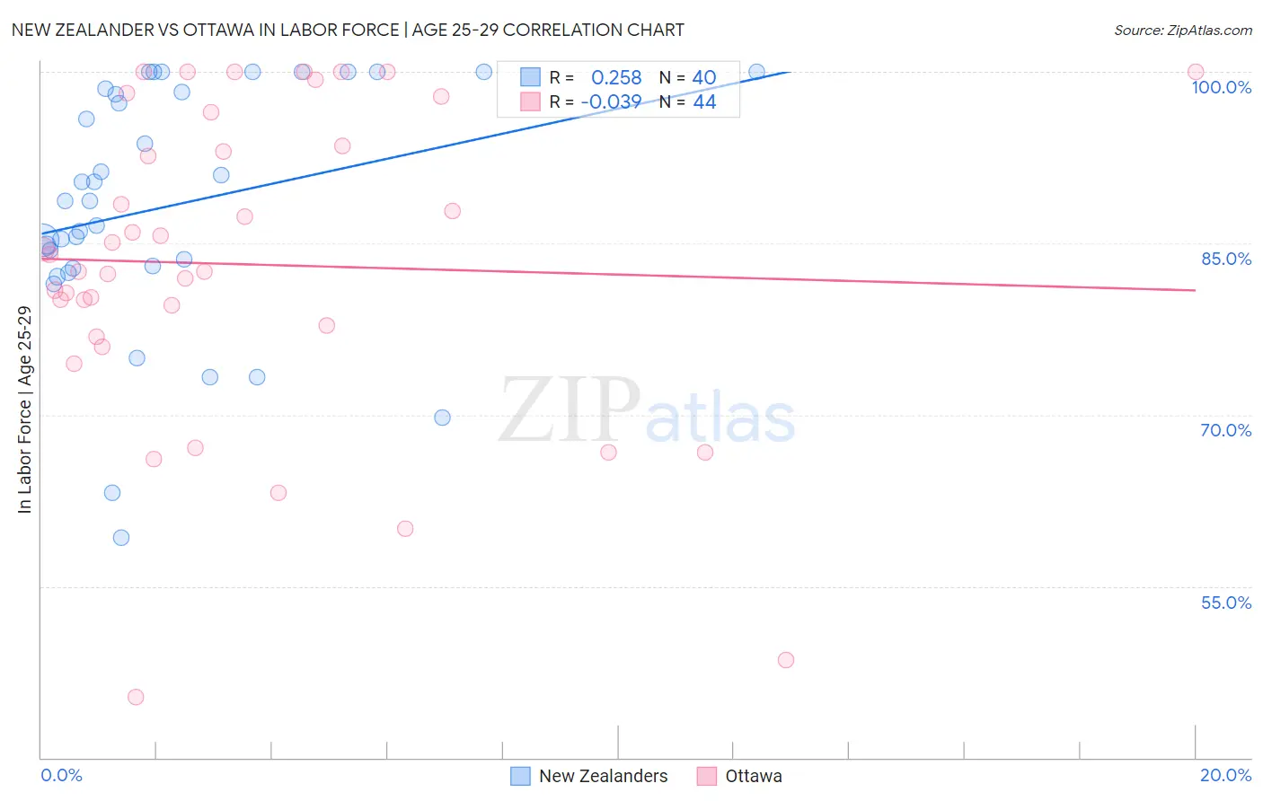 New Zealander vs Ottawa In Labor Force | Age 25-29
