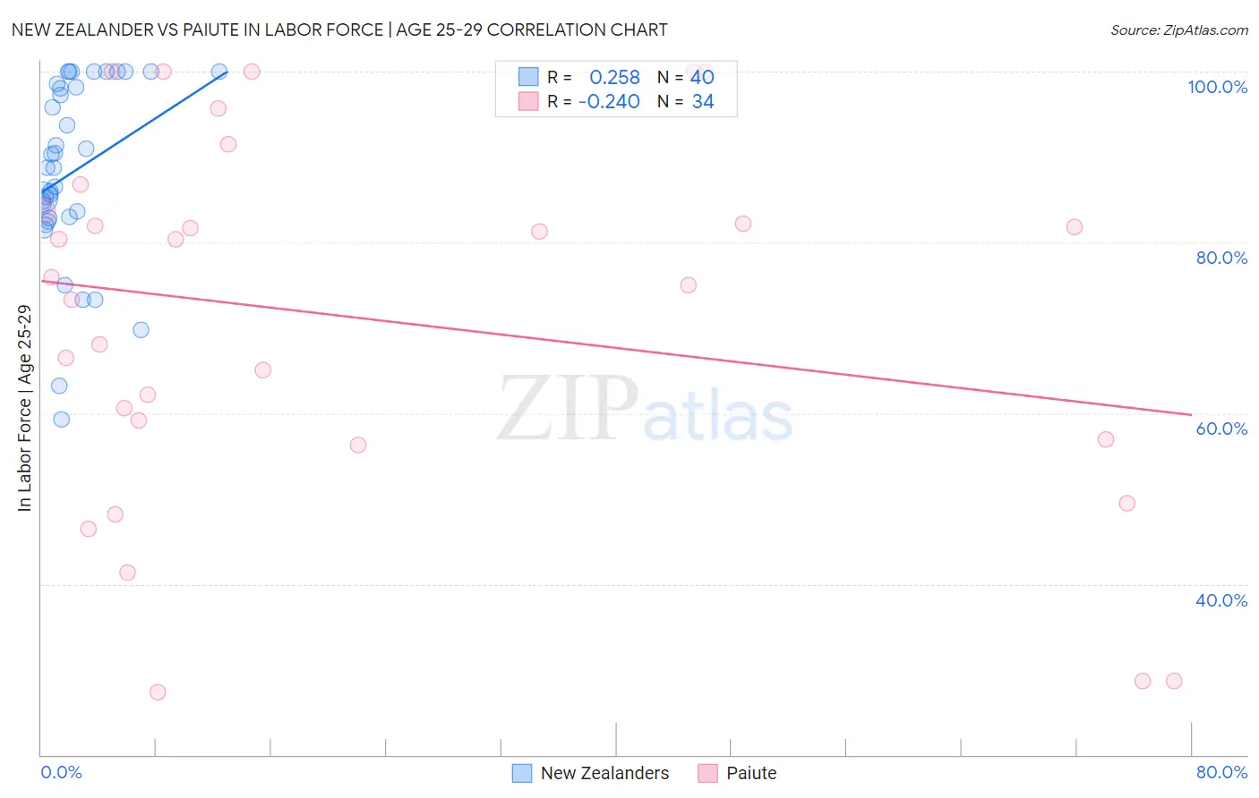New Zealander vs Paiute In Labor Force | Age 25-29