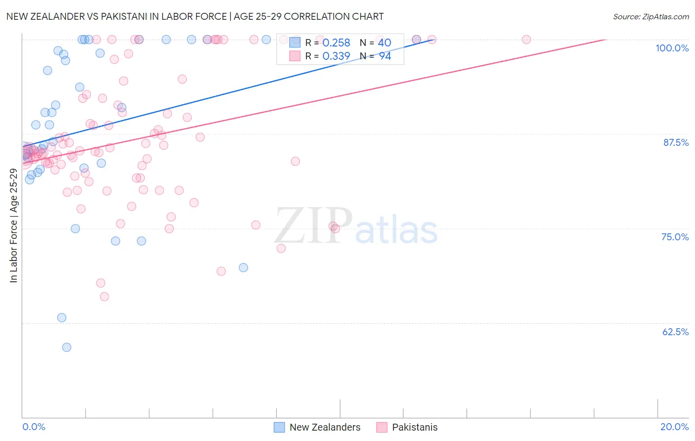 New Zealander vs Pakistani In Labor Force | Age 25-29