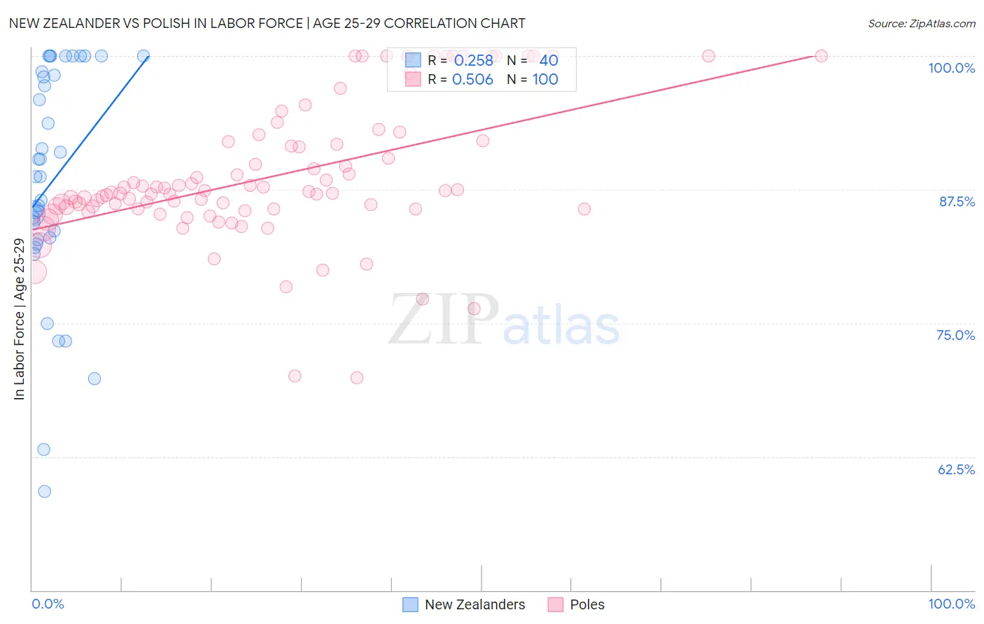 New Zealander vs Polish In Labor Force | Age 25-29