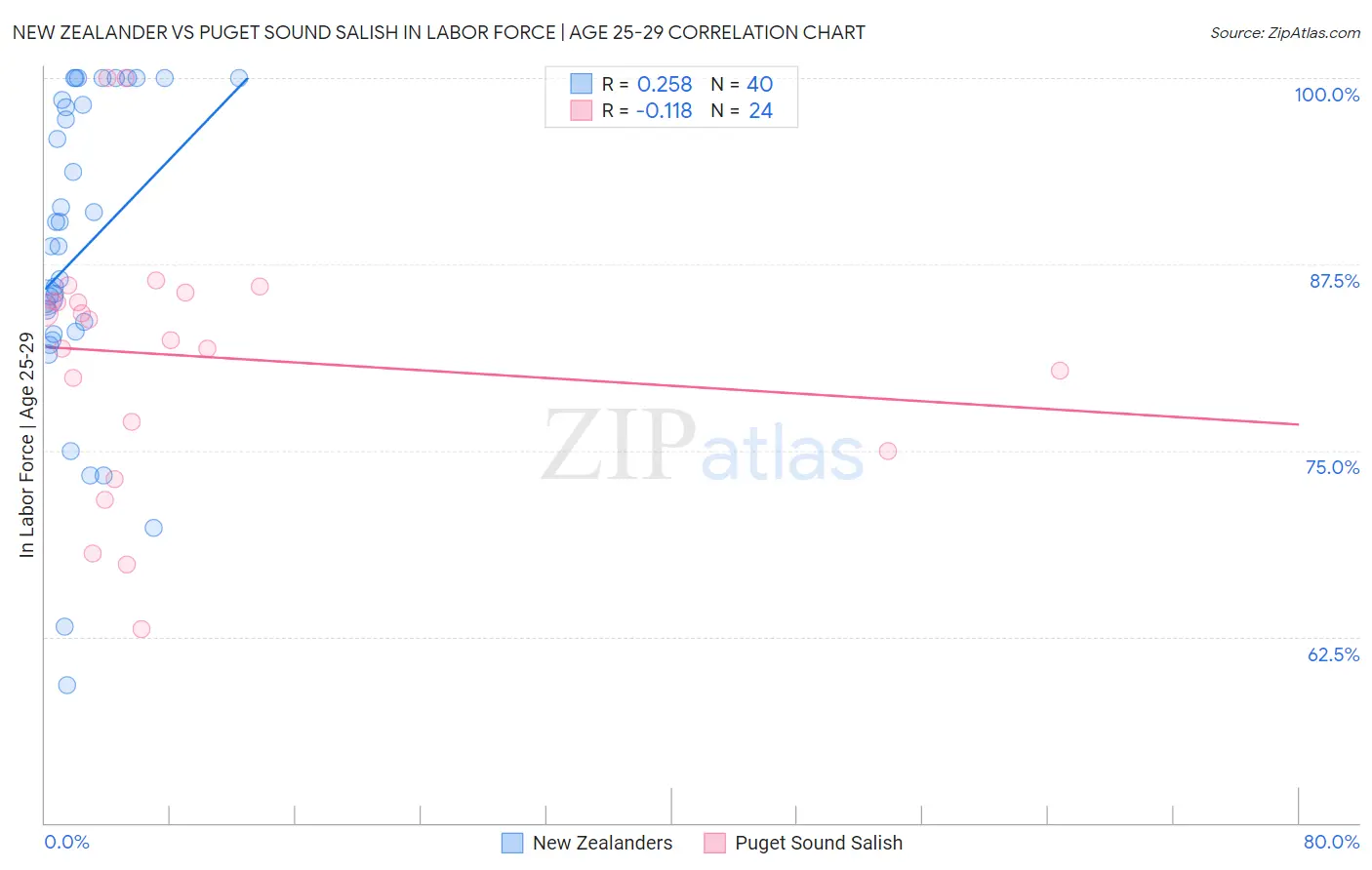New Zealander vs Puget Sound Salish In Labor Force | Age 25-29