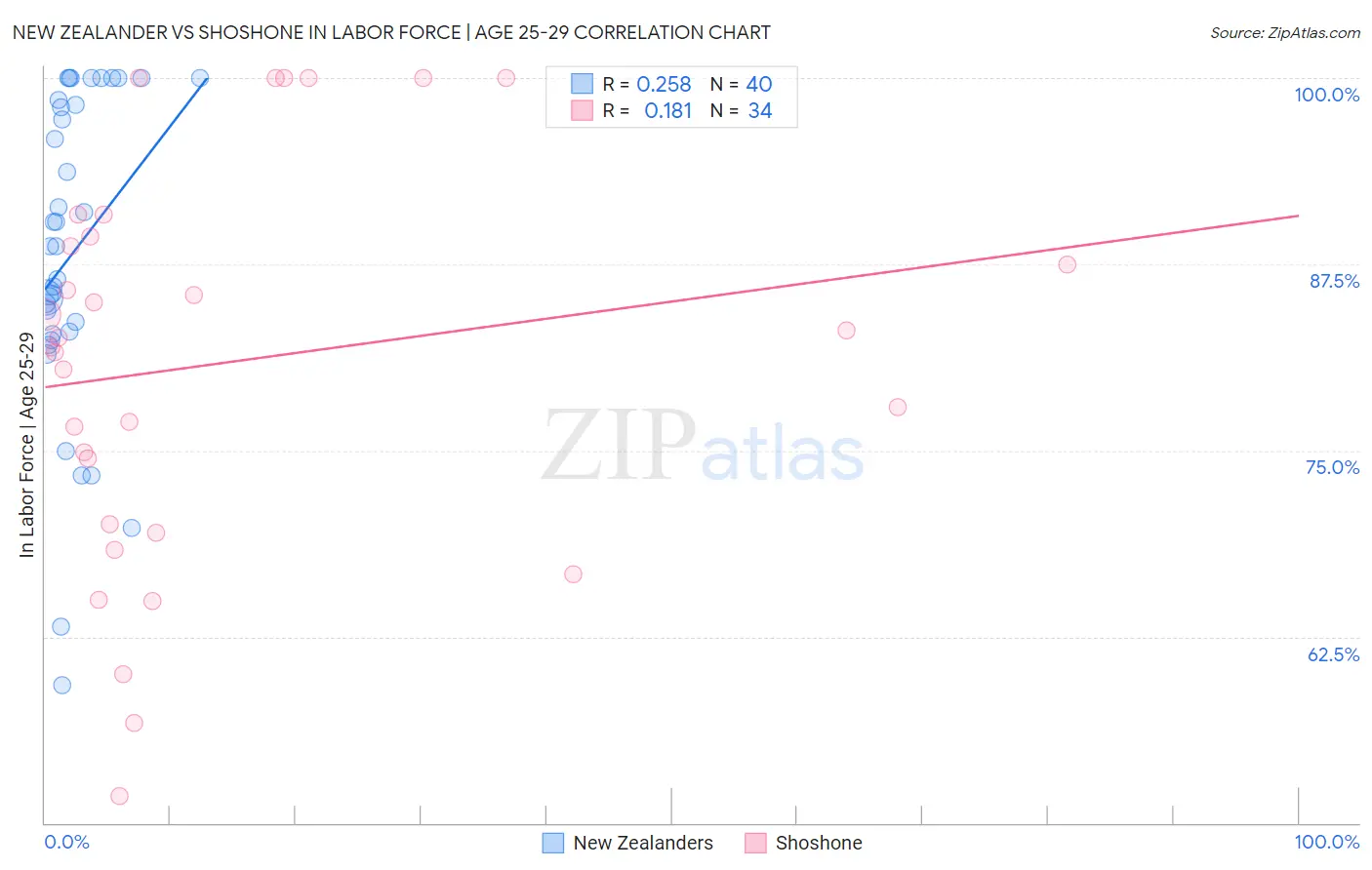New Zealander vs Shoshone In Labor Force | Age 25-29