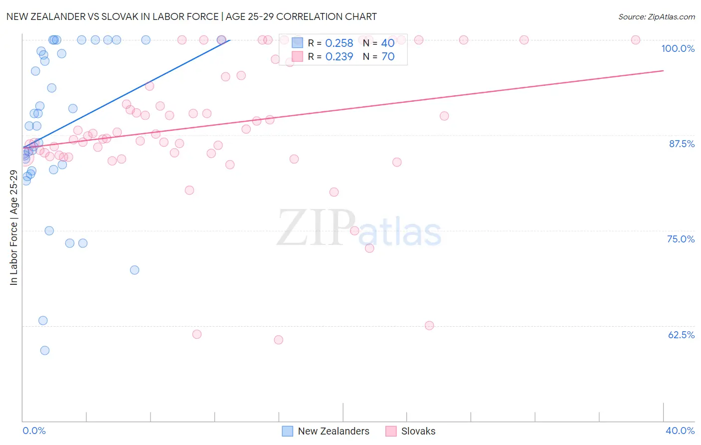 New Zealander vs Slovak In Labor Force | Age 25-29