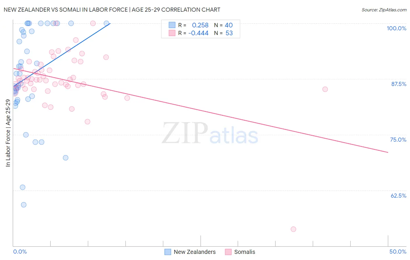 New Zealander vs Somali In Labor Force | Age 25-29