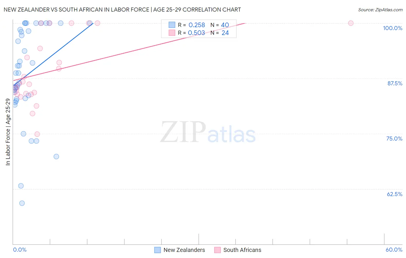 New Zealander vs South African In Labor Force | Age 25-29