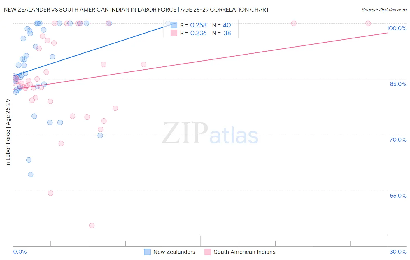 New Zealander vs South American Indian In Labor Force | Age 25-29