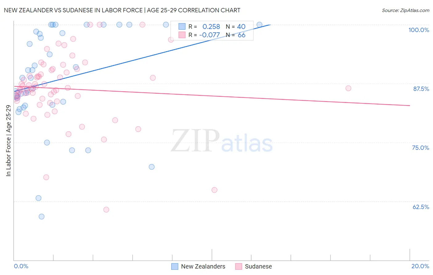 New Zealander vs Sudanese In Labor Force | Age 25-29