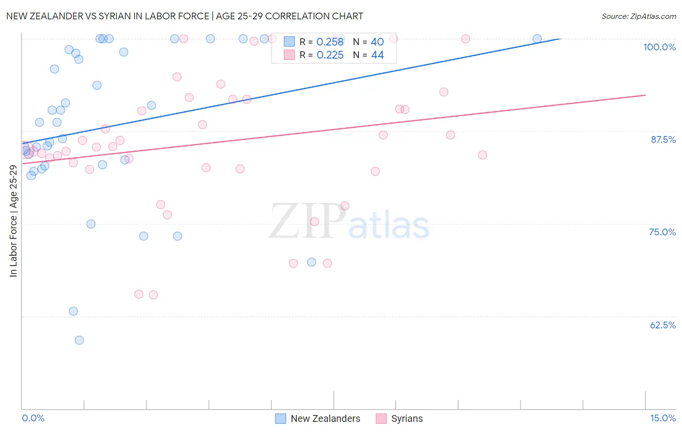 New Zealander vs Syrian In Labor Force | Age 25-29