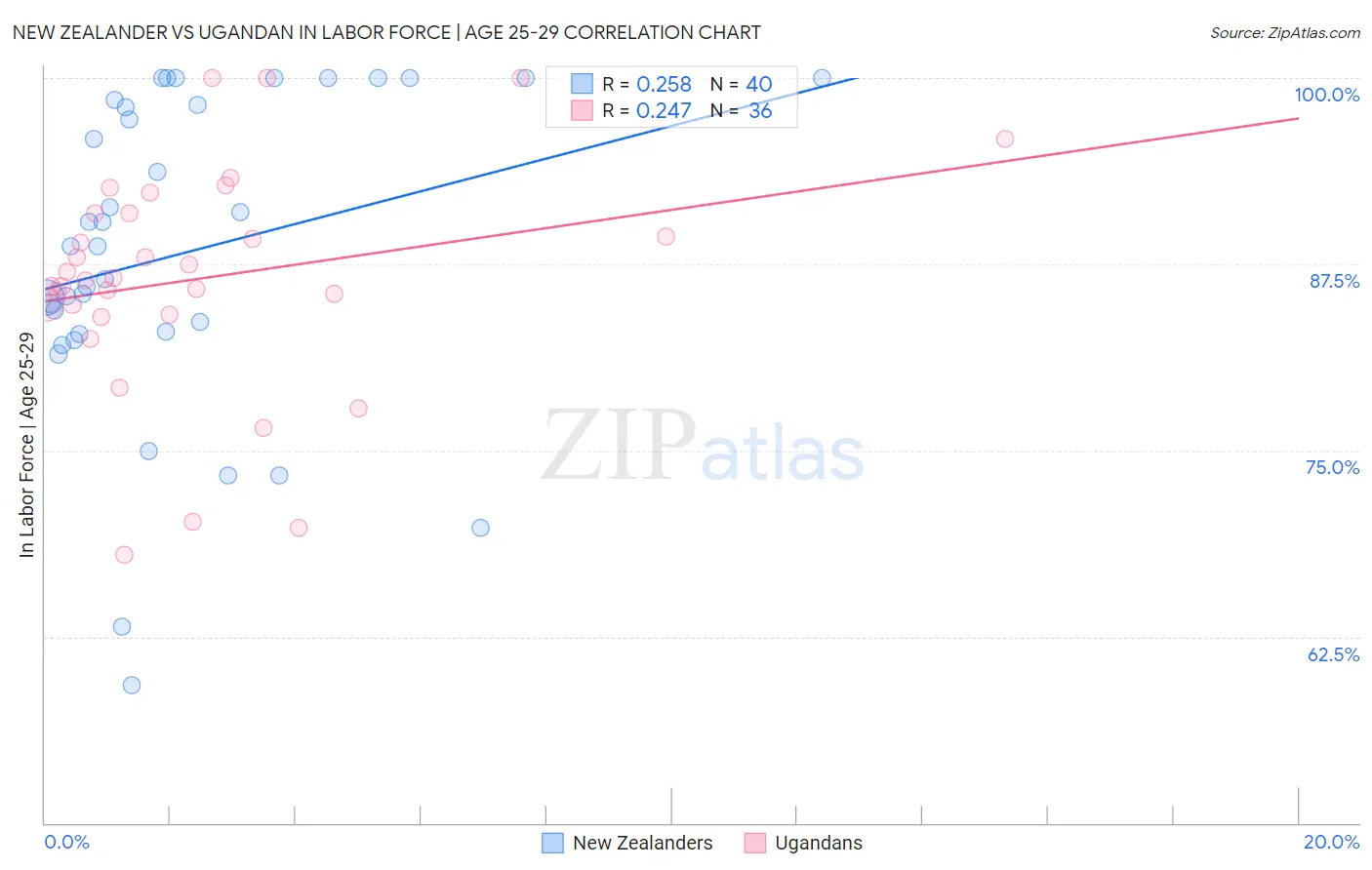 New Zealander vs Ugandan In Labor Force | Age 25-29