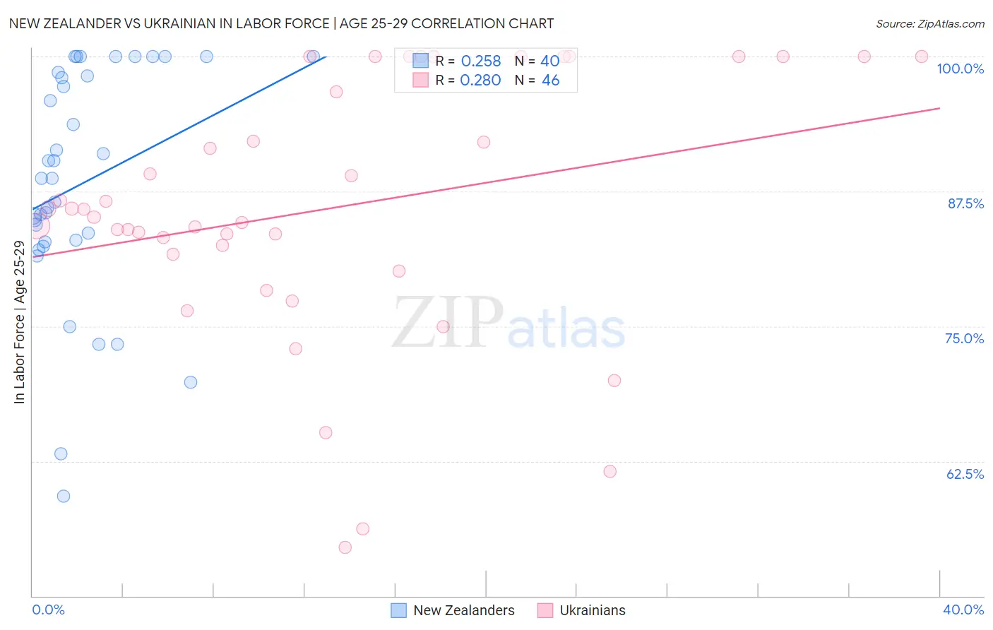 New Zealander vs Ukrainian In Labor Force | Age 25-29