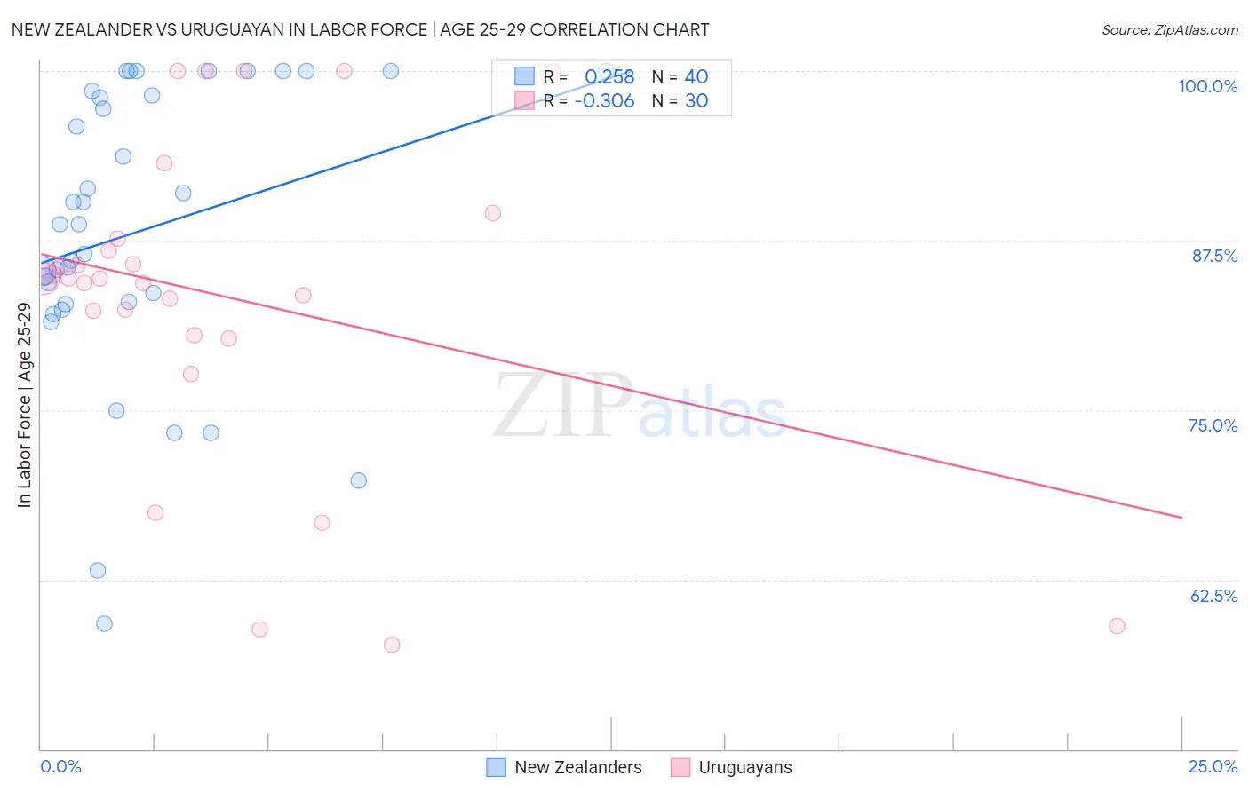 New Zealander vs Uruguayan In Labor Force | Age 25-29