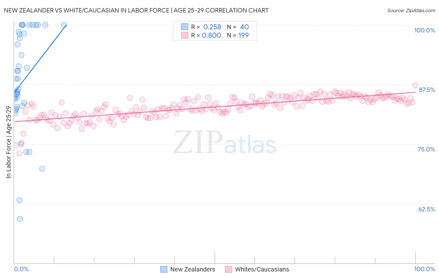 New Zealander vs White/Caucasian In Labor Force | Age 25-29