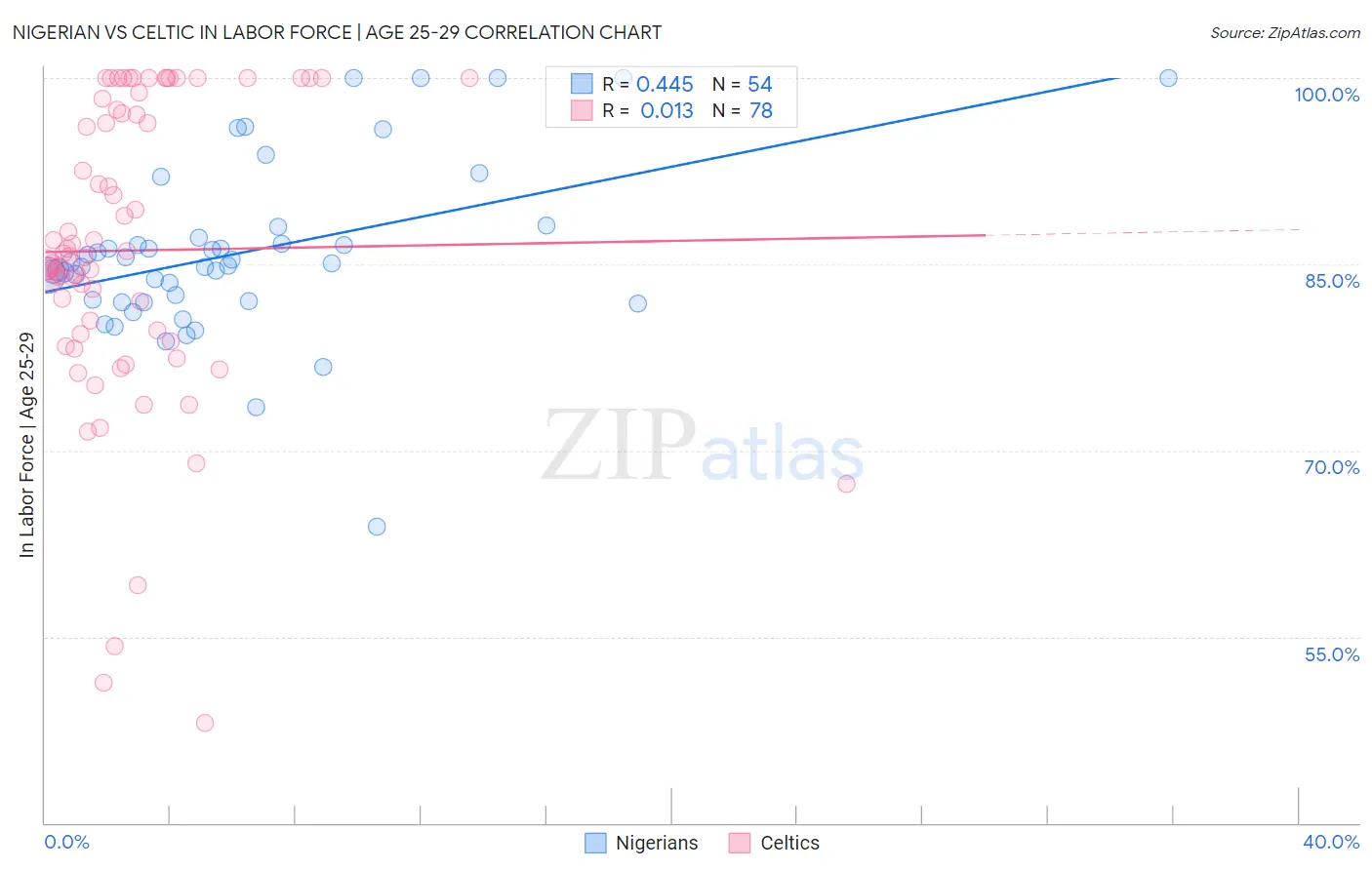 Nigerian vs Celtic In Labor Force | Age 25-29