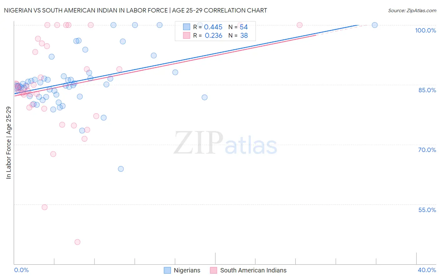 Nigerian vs South American Indian In Labor Force | Age 25-29