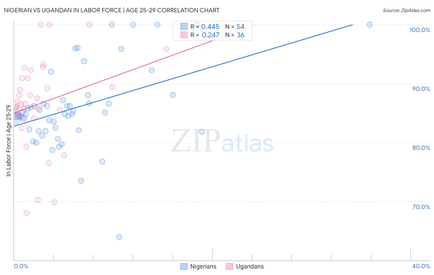 Nigerian vs Ugandan In Labor Force | Age 25-29