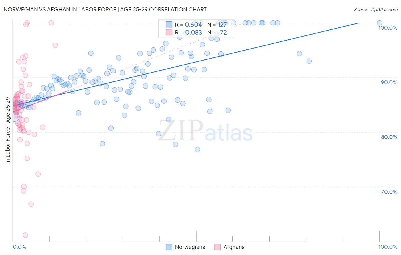 Norwegian vs Afghan In Labor Force | Age 25-29