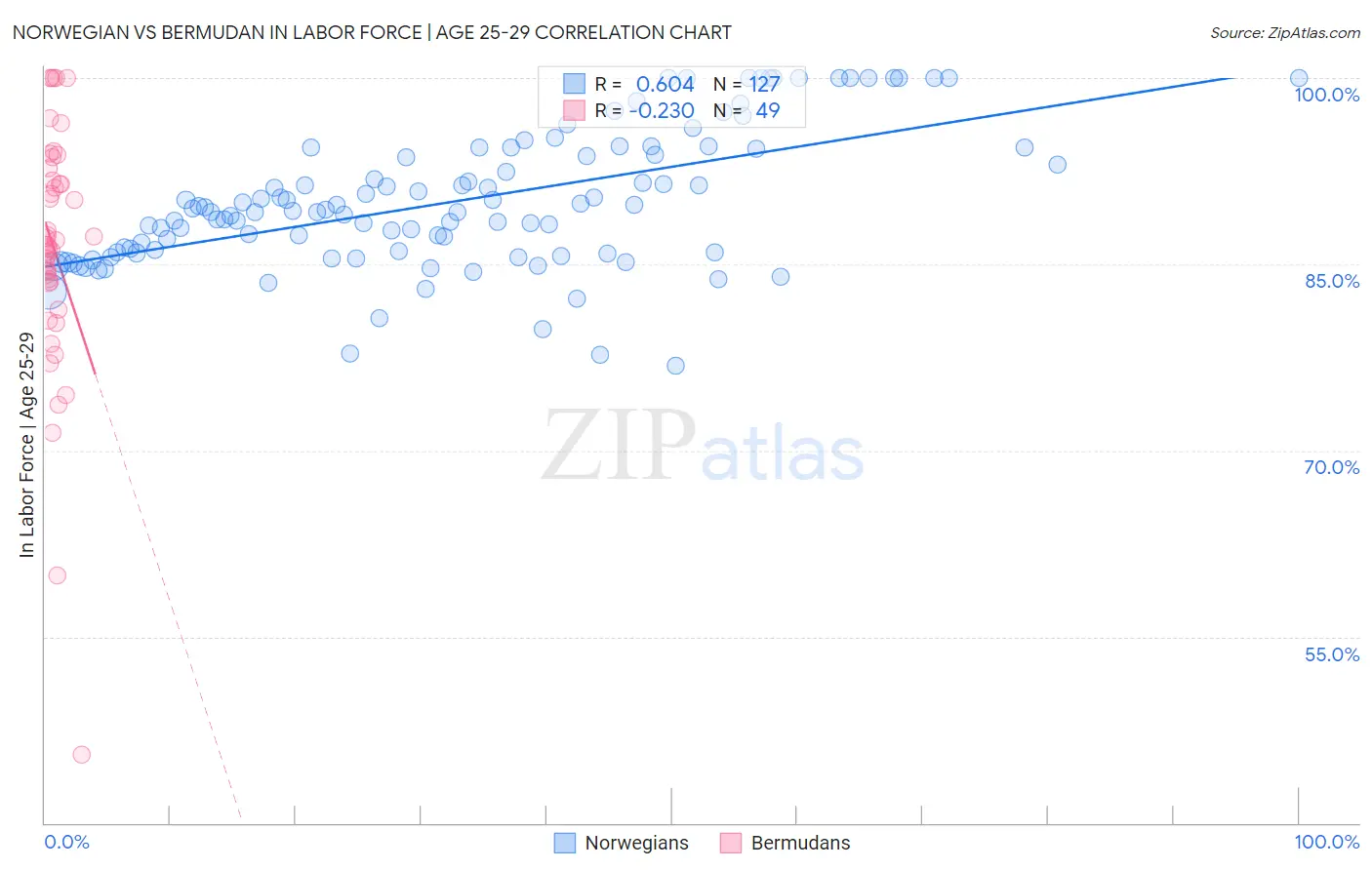 Norwegian vs Bermudan In Labor Force | Age 25-29