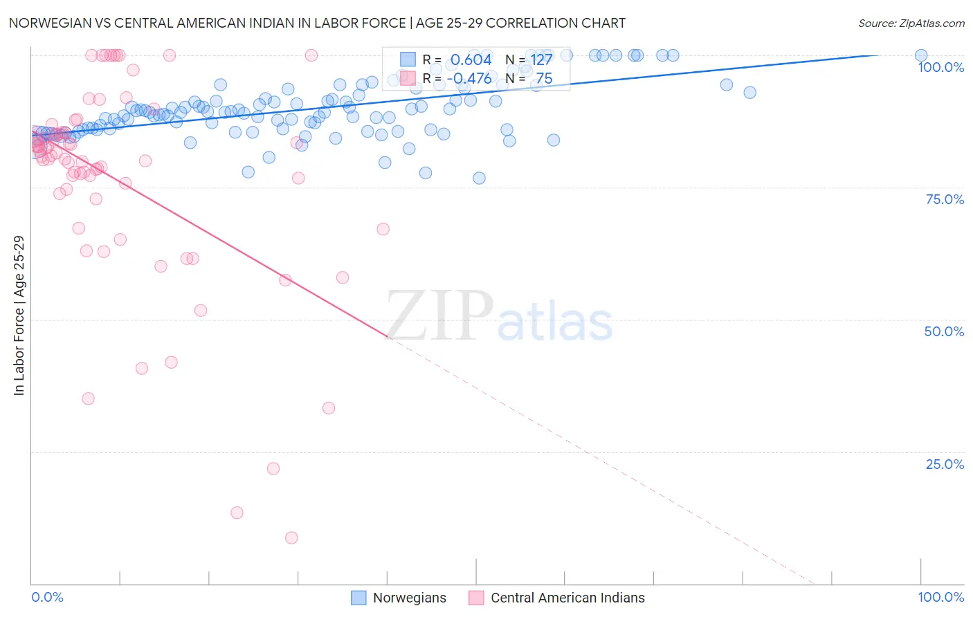 Norwegian vs Central American Indian In Labor Force | Age 25-29