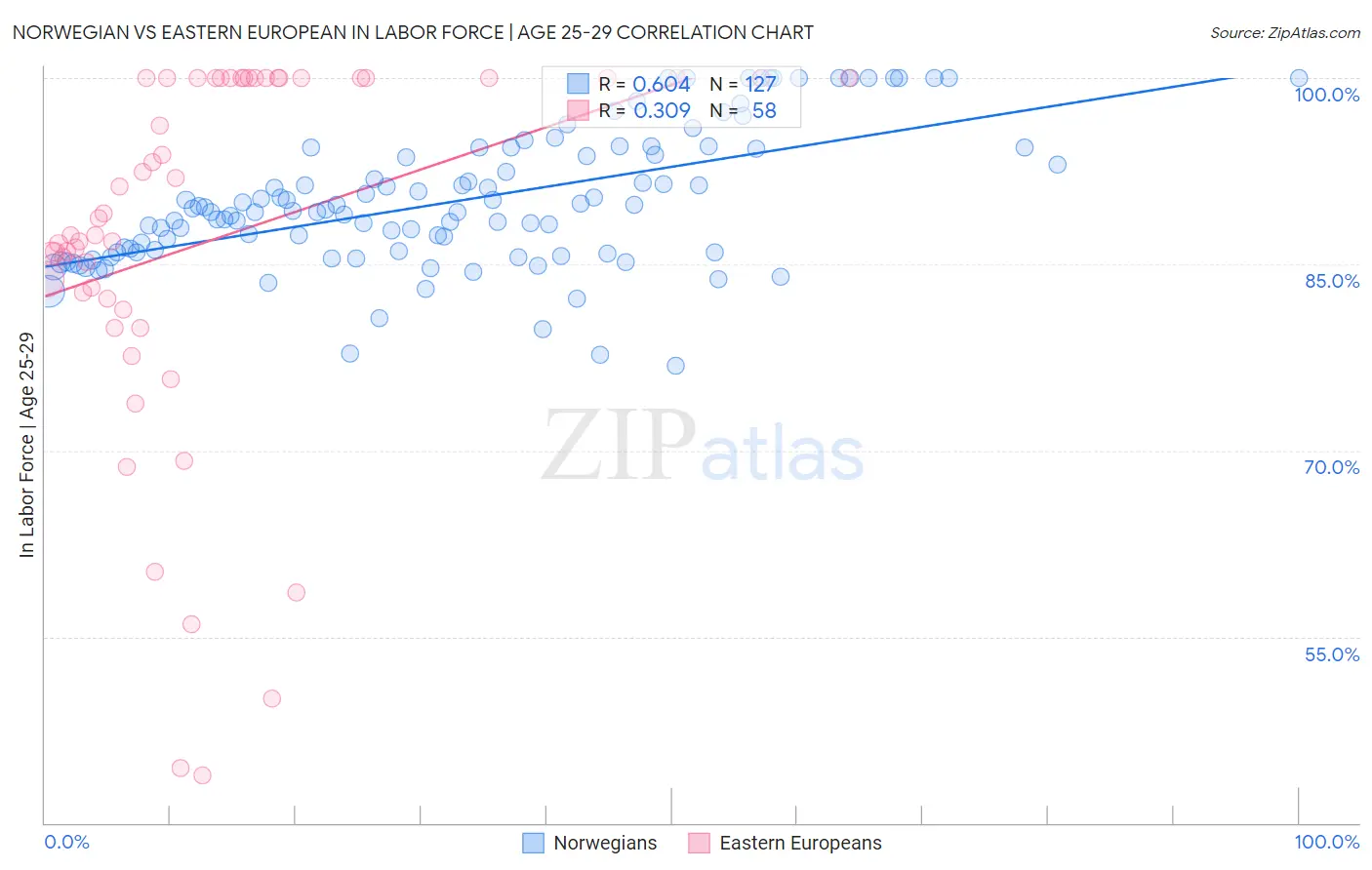 Norwegian vs Eastern European In Labor Force | Age 25-29