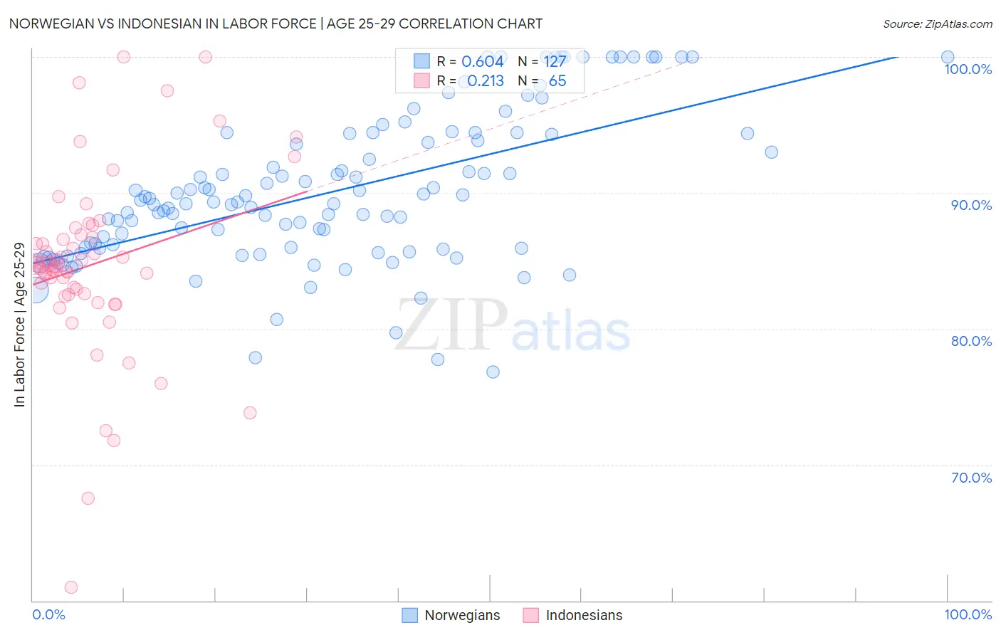 Norwegian vs Indonesian In Labor Force | Age 25-29